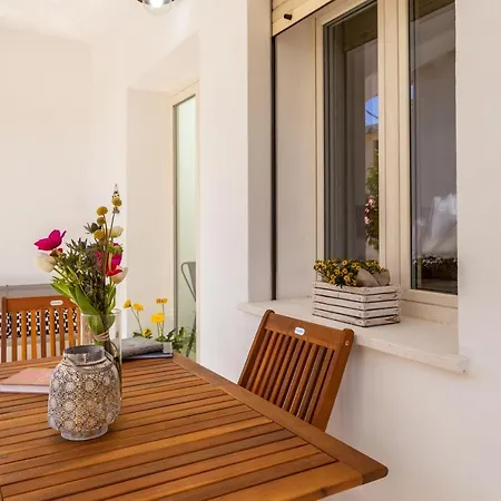 Nonna Rosa * 圣玛丽亚纳瓦雷